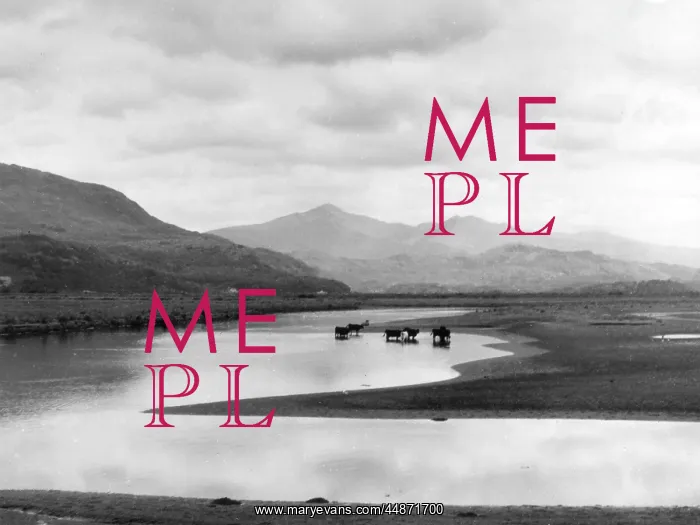 : WELSH LANDSCAPE : WELSH LANDSCAPE