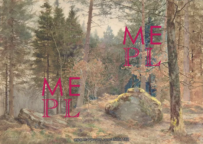 : IN A WELSH PINE WOOD, by James Thomas Watts, 1891 : IN A WELSH PINE WOOD, by James Thomas Watts, 1891