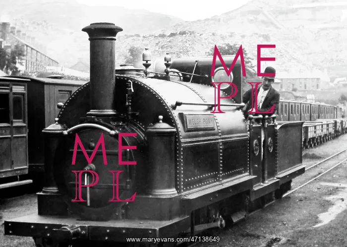 : Welsh Pony, Ffestiniog Railway, Wales, Victorian period : Welsh Pony, Ffestiniog Railway, Wales, Victorian period