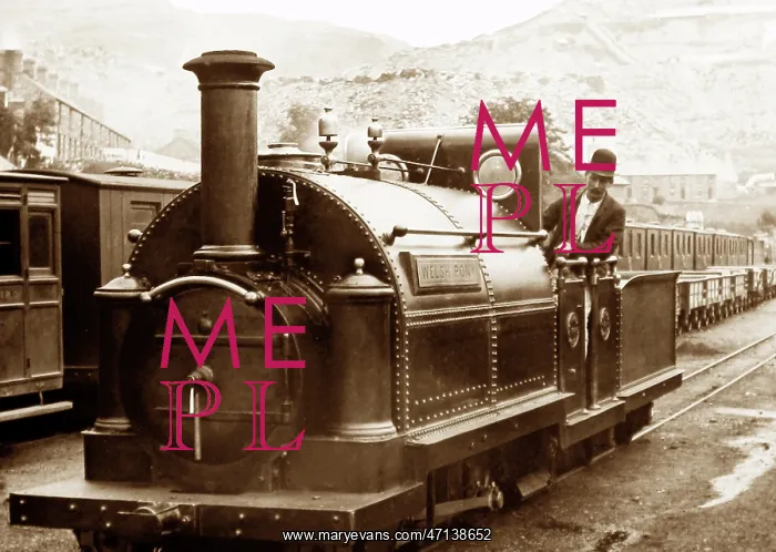 : Welsh Pony, Ffestiniog Railway, Wales, Victorian period : Welsh Pony, Ffestiniog Railway, Wales, Victorian period