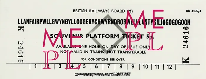 : WELSH RAIL TICKET : WELSH RAIL TICKET
