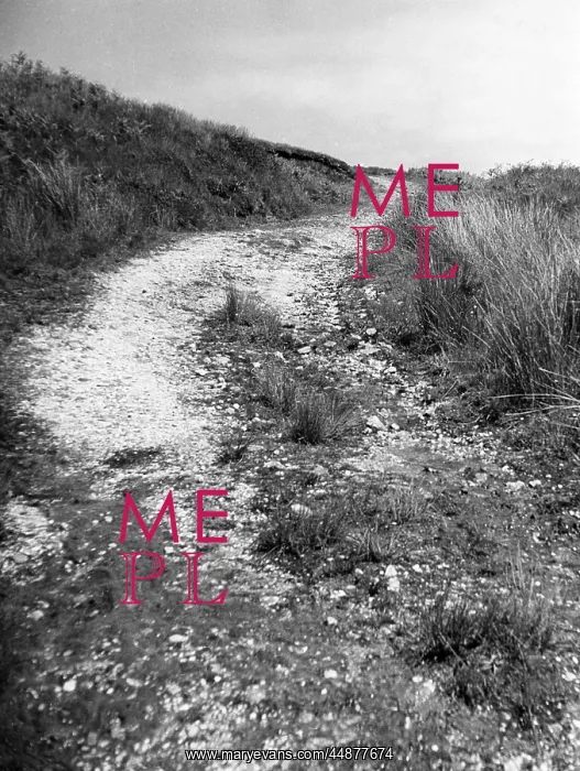 : WELSH TRACKWAY : WELSH TRACKWAY