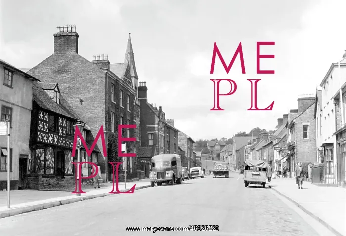  : Welshpool, High Street c1955
