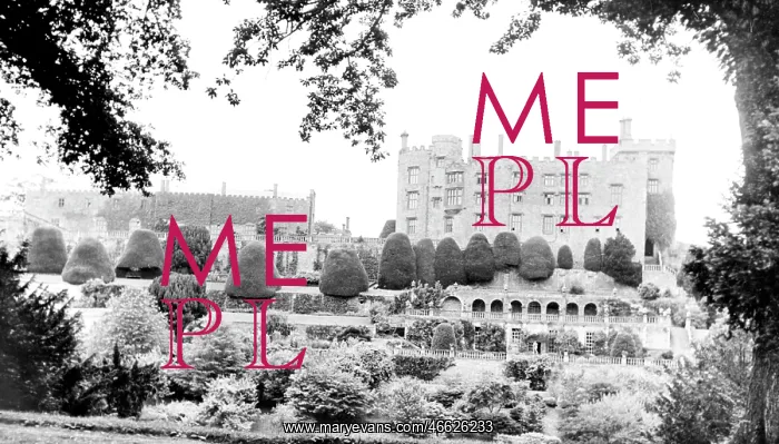  : Welshpool, Powis Castle c1955