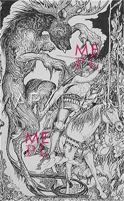 : THE WELWA OF THE WOODS : THE WELWA OF THE WOODS