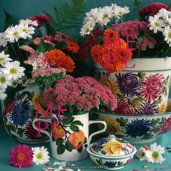 : Wemyss Ware and Chrysanthemums : Wemyss Ware and Chrysanthemums