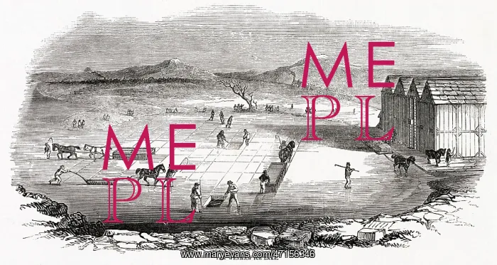 : Wenham Ice Lake, Massachusetts 1845 : Wenham Ice Lake, Massachusetts 1845