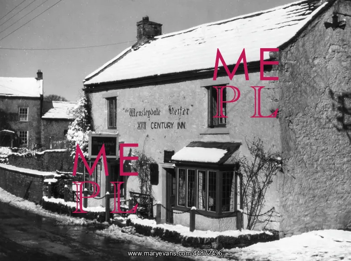 : THE WENSLEYDALE HEIFER : THE WENSLEYDALE HEIFER