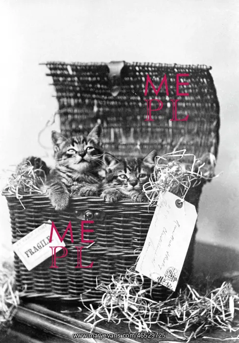  : We're Come c1890
