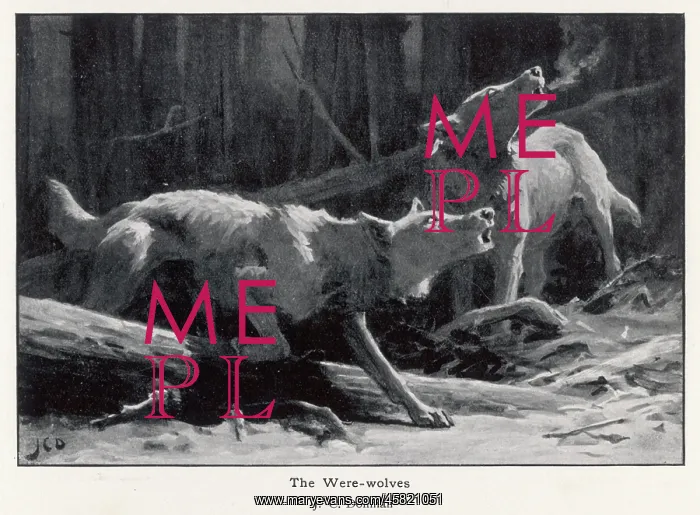  : TWO WEREWOLVES