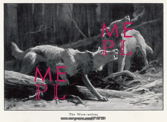  : TWO WEREWOLVES