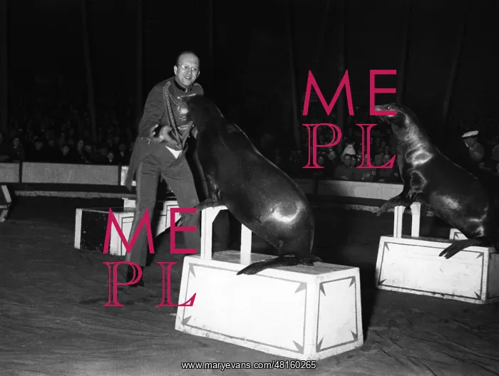 : Werner Finck