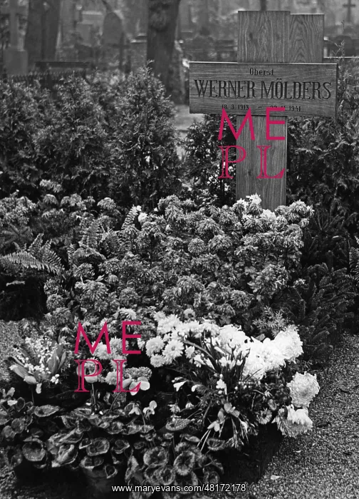 : Werner Moelders : Werner Moelders