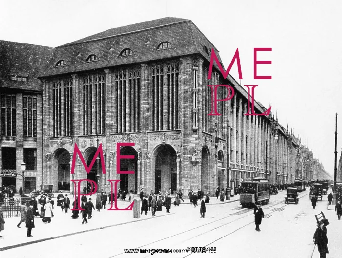 : The Wertheim department store : The Wertheim department store