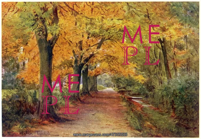  : Wessex - Bockhampton Lane