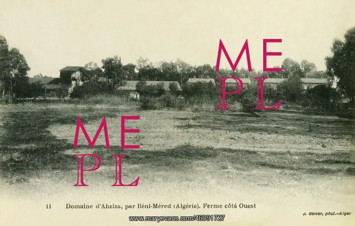  : West side of Abziza Farm, Beni-Mered
