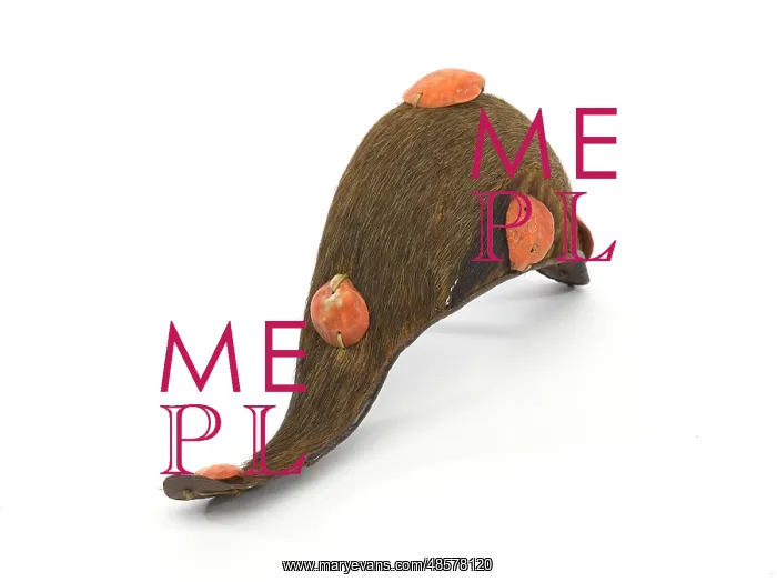 : West African executioner's hat : West African executioner's hat