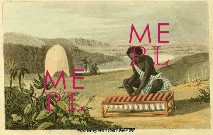 : West African native playing Balafon : West African native playing Balafon