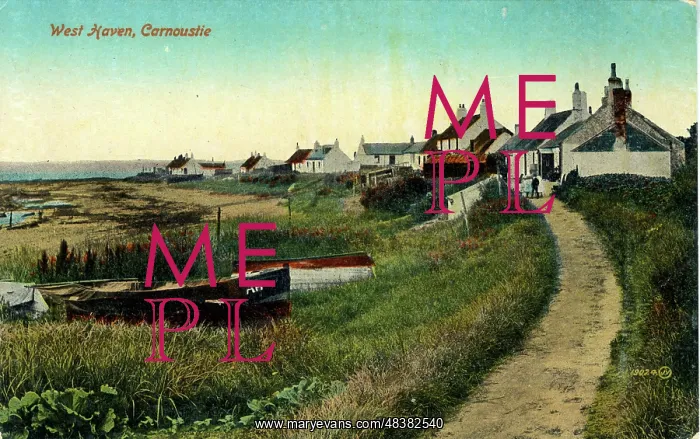 : West Haven, Carnoustie, Dundee, Scotland : West Haven, Carnoustie, Dundee, Scotland