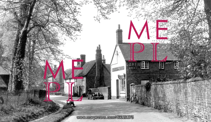  : West Ilsley, High Street c1955