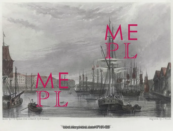  : West India Dock 1825