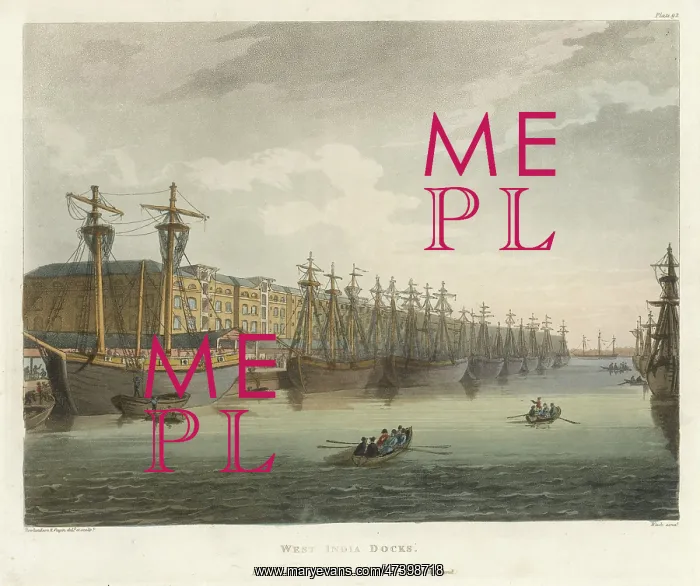 : West India Docks, London - 1810 : West India Docks, London - 1810