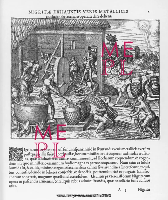 : West Indian Sugar Slavery : West Indian Sugar Slavery