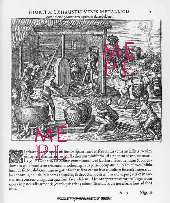 : West Indian Sugar Slavery : West Indian Sugar Slavery