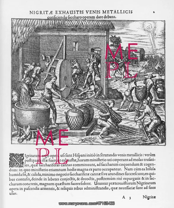 : West Indian Sugar Slavery : West Indian Sugar Slavery