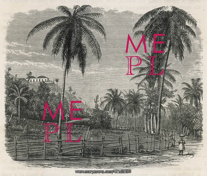  : WEST INDIES / JAMAICA