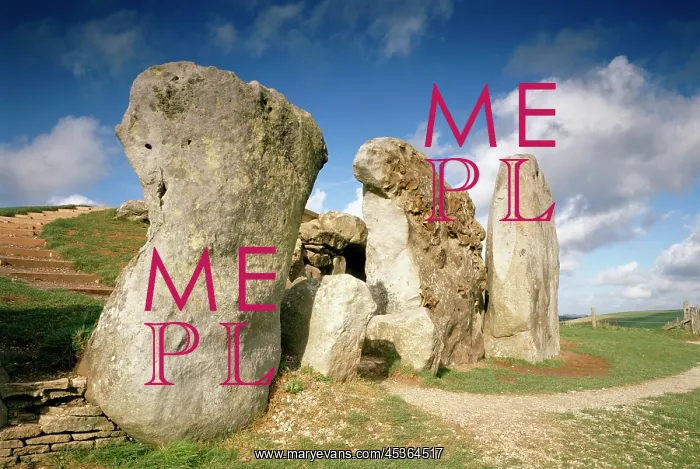 : West Kennet Long Barrow : West Kennet Long Barrow