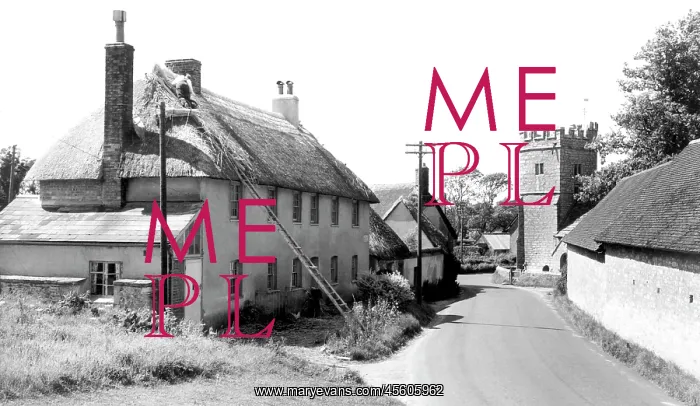  : West Stafford, Thatching c1960