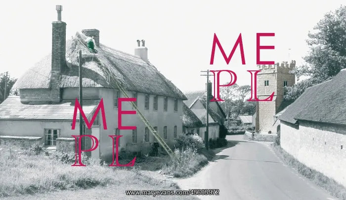  : West Stafford, Thatching c1960