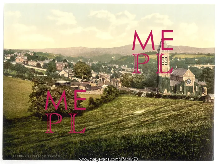 : From the west, Tavistock, England : From the west, Tavistock, England
