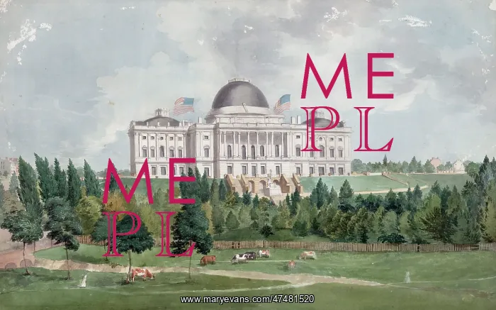 : West front of the United States Capitol with cows in the for : West front of the United States Capitol with cows in the for