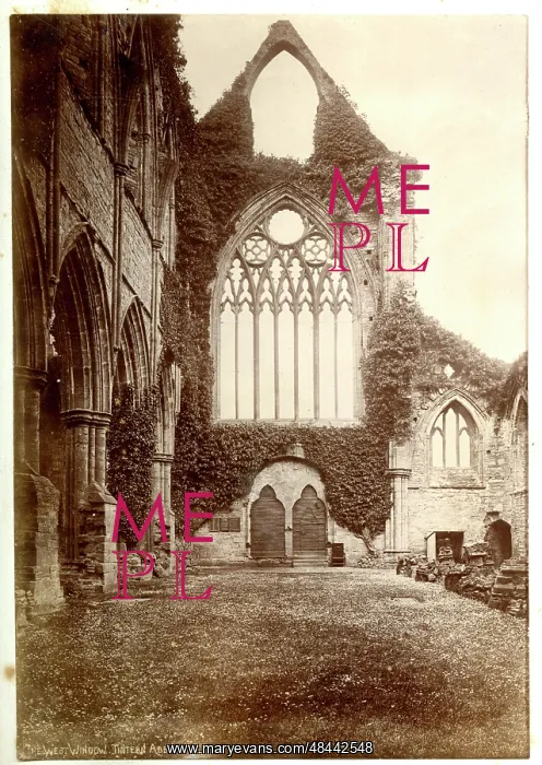 : West Window, Tintern Abbey, Monmouthshire : West Window, Tintern Abbey, Monmouthshire