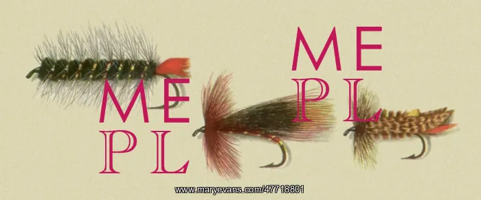 : Western American Flies : Western American Flies