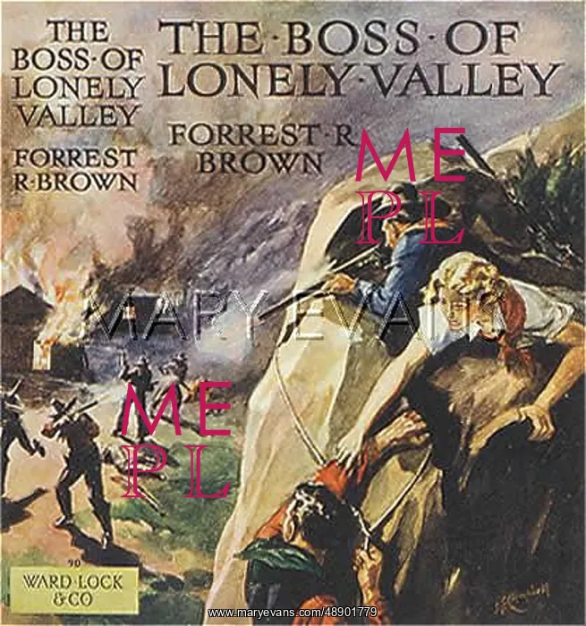 : WESTERN / BOSS OF VALLEY : WESTERN / BOSS OF VALLEY