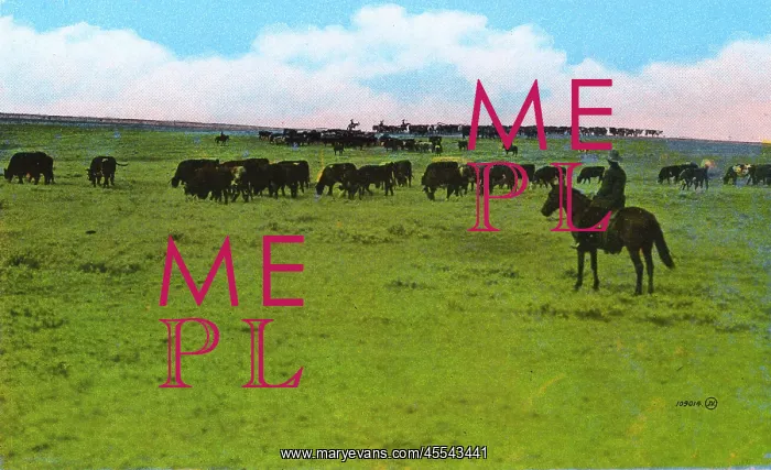  : Western Canada - Cattle Ranch