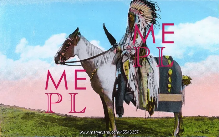  : Western Canada - A Cree Indian Brave