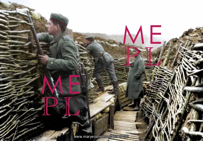 : Western Front in Colour : Western Front in Colour