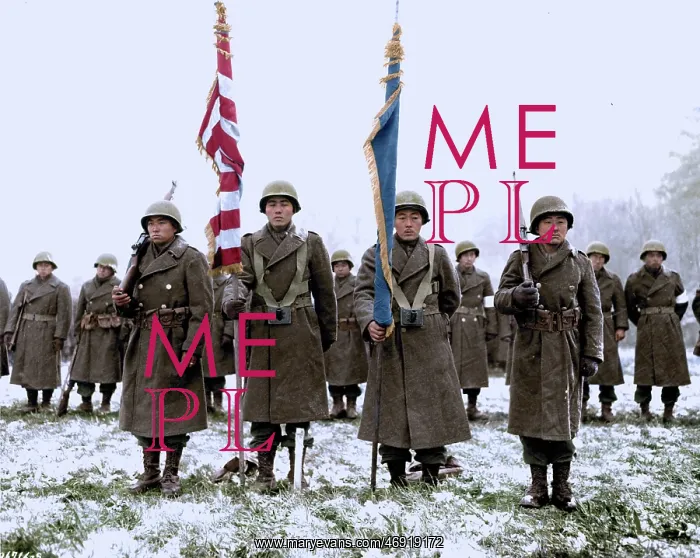  : Western Front Colours