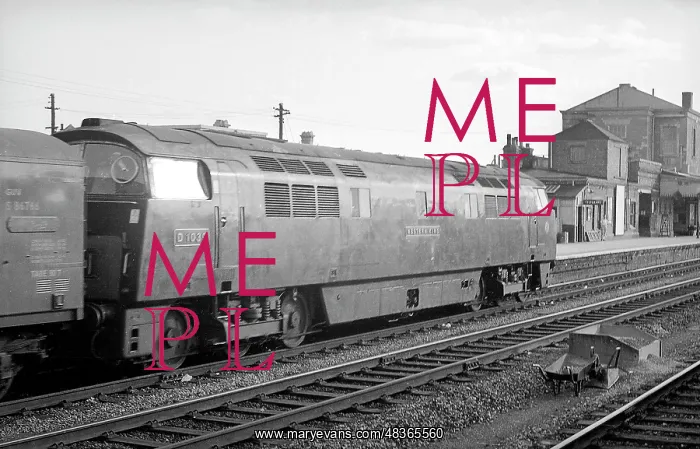 : Western Diesel arriving at a station : Western Diesel arriving at a station