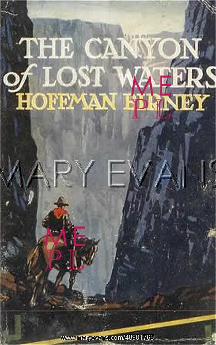 : WESTERN / LOST WATERS : WESTERN / LOST WATERS