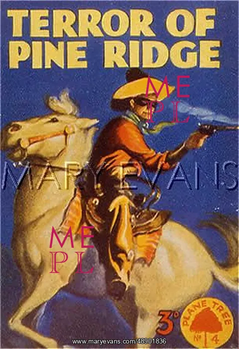 : WESTERN / PINE RIDGE : WESTERN / PINE RIDGE