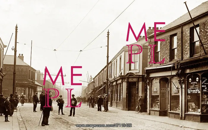  : Western Road, Jarrow, early 1900s