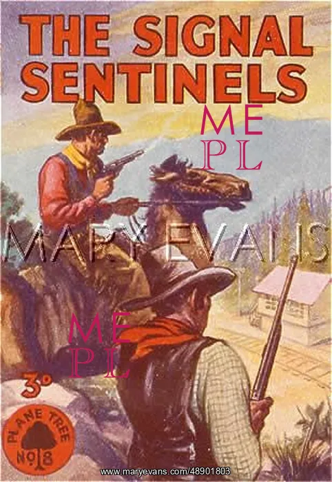 : WESTERN / SENTINELS : WESTERN / SENTINELS