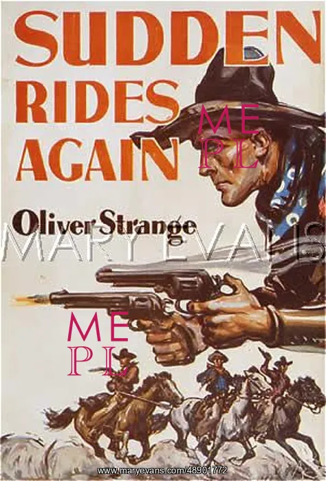 : WESTERN / SUDDEN RIDES : WESTERN / SUDDEN RIDES