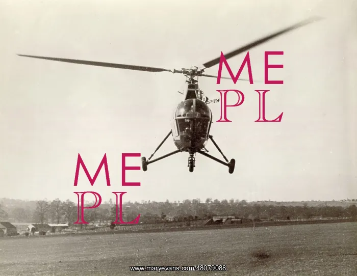 : Westland Dragonfly : Westland Dragonfly