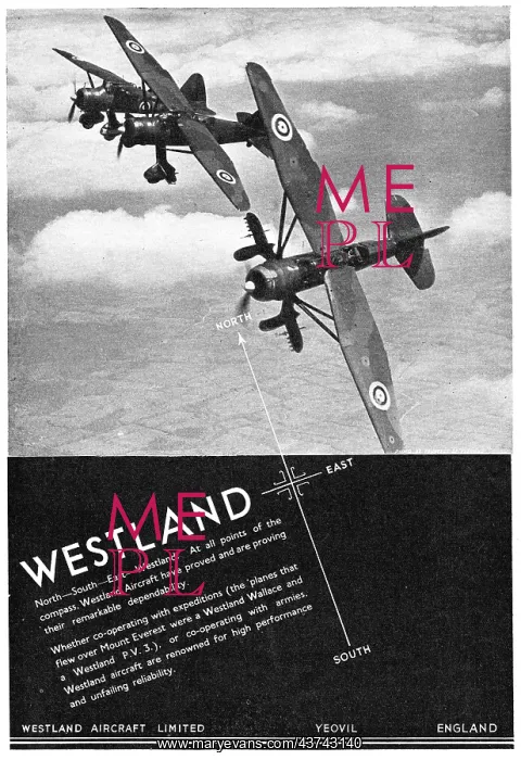  : Westland Lysander
